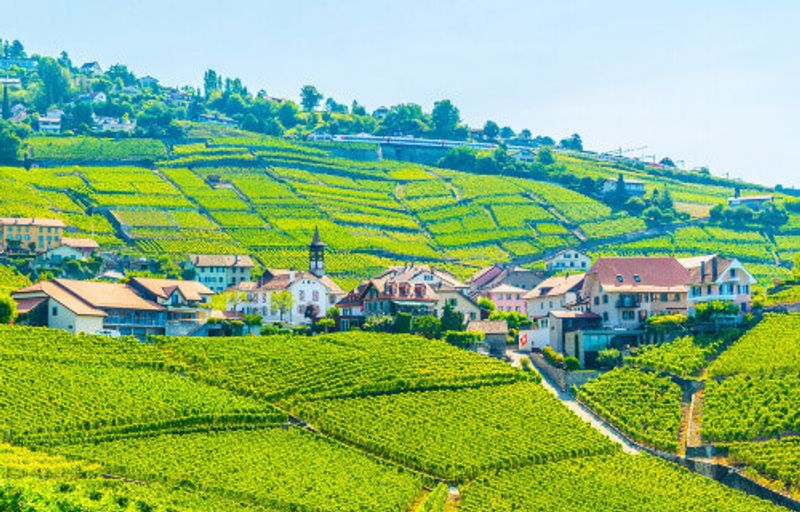 The Lavaux wine region near Lausanne.