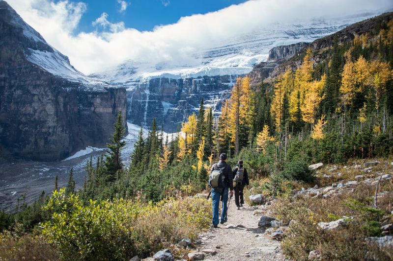 Tourists hiking at Six Glaciers from the stunning Lake Louise.