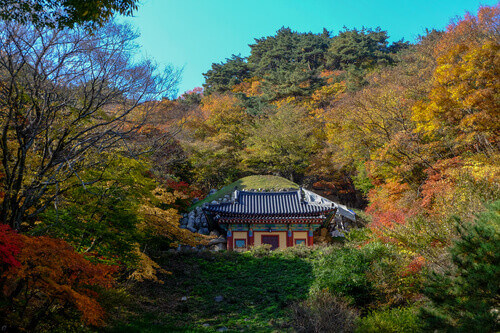 Autumn colors surround the Seokguram Grotto containing a Buddha image in Gyeongju, South Korea.