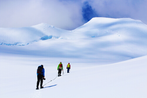Travellers hiking through the snowy landscapes on an Antarctica tour