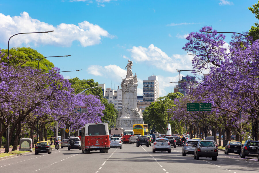 Jaracanda trees on Avenue Sarmiento in Palermo