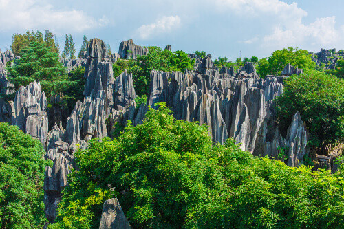 The Stone Forest, a scenic spot in Kunming.