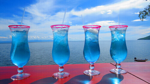 A Cocktail Party at Lake Kariba.